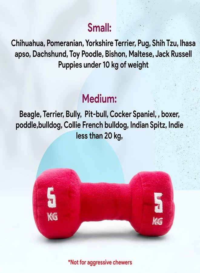 Goofy Tails Gym Series Dumbbell Plush Toy for Dogs | Squeaky Toy for Dogs and Puppies | Great for Playing Fetch and Retrieve (Red) - Image 5